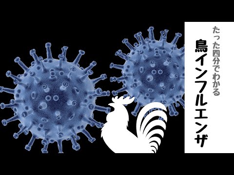 ドイツの鳥インフルエンザ:危険ですか?