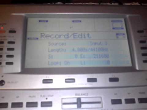 pepi- korg pa80.loop