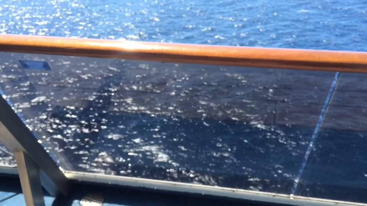 Carnival Miracle - Cabin 5107 - Video 2