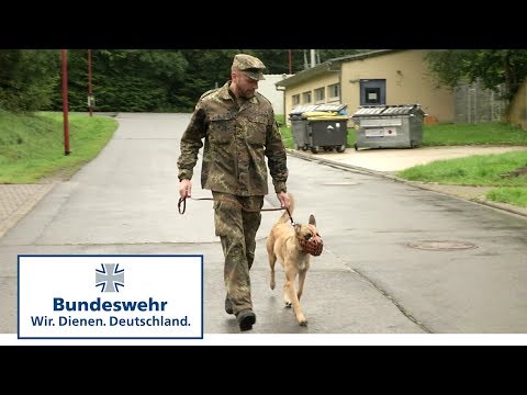 Vom Welpen zum Diensthund der Bundeswehr Teil 5 / 5