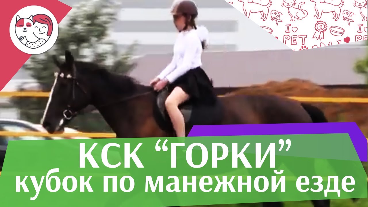 Летний кубок КСК Горки по манежной езде КЮР часть 13 на ilikepet