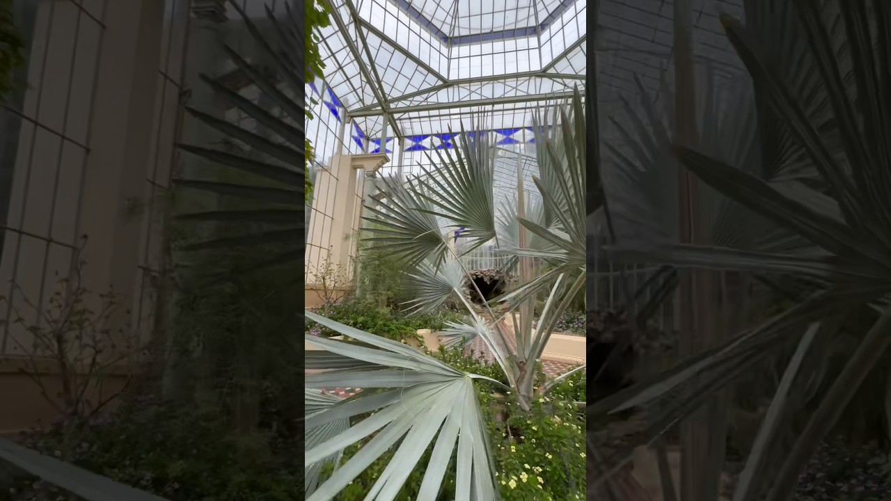 YouTube Short thumbnail