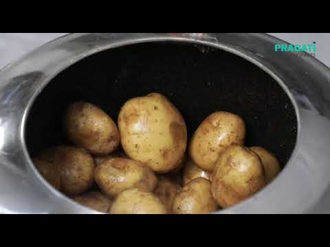 15Kg Potato Peeling Machine 1 Hp