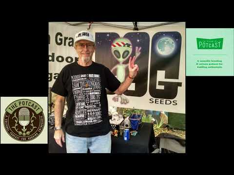 Episode 26 ft Bog of Bog Seeds - 24/7/18