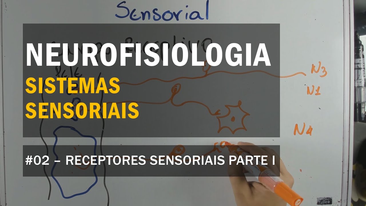 Sistemas Sensoriais - #02 Receptores Sensoriais Parte I - Neurofisiologia