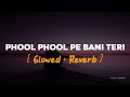 Phool Phool Pe Bani Hai | Slowed & Reverb | Udit Narayan | Pujita Musics