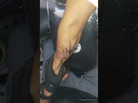 Traditional Bird - Tattoo TimeLapse