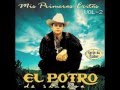 El Potro de Sinaloa--Felipe Verrellesa