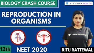 Reproduction in Organism | Biology Crash Course | Class 12th | NEET Biology | NEET 2020