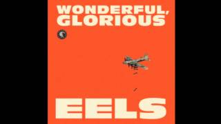 Eels - The Turnaround