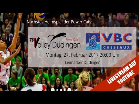NLA Volleyball: TS Volley Düdingen - VBC Cheseuax