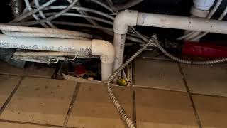 Watch video: Drain Flies Thriving Behind the Bar in Brielle, NJ