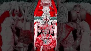 Pannari Mariyamma God Song #whatsappstatus #amman 