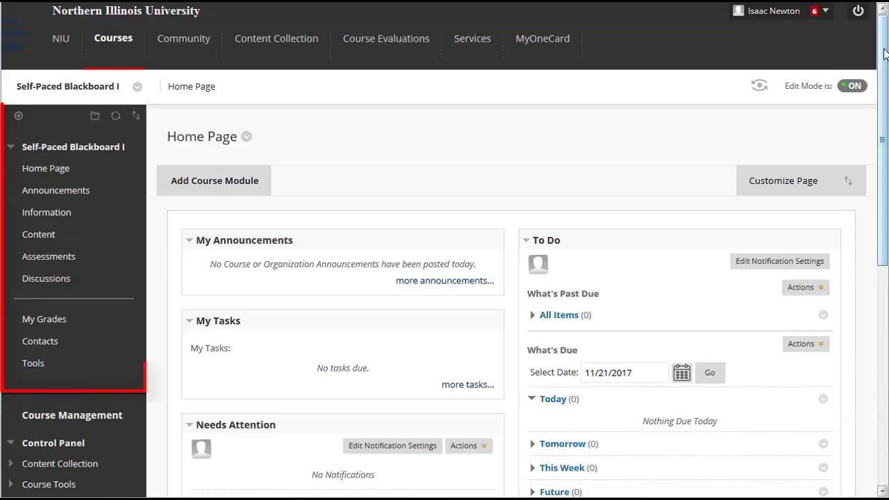 Using the Blackboard Course Interface