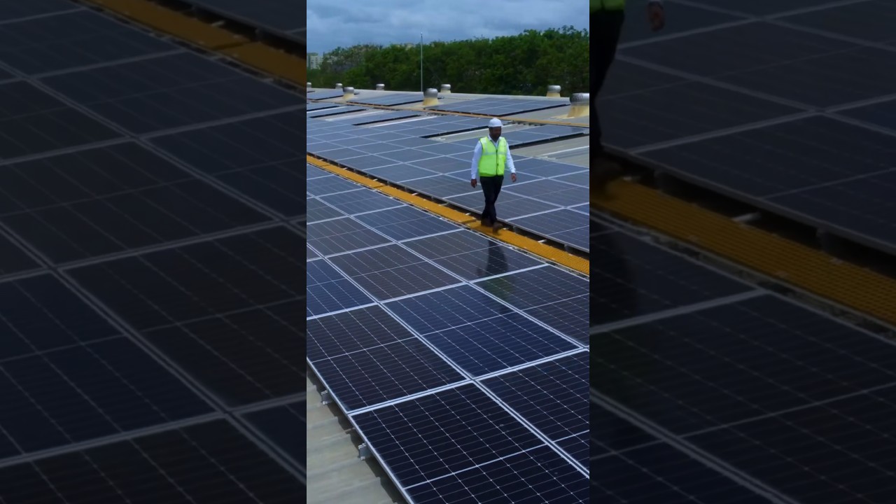 A Day in a life of Solar Engineer | Walking Towards Sustainability | Solar Energy