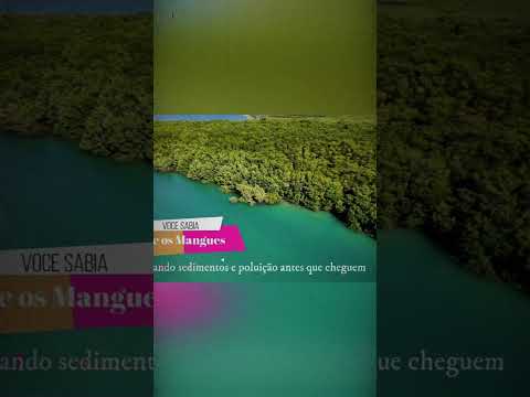 Distância de Areia Branca-RN e Praia de Pernambuquinho Grosso-RN