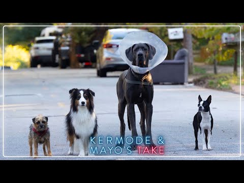 Mark Kermode reviews Strays - Kermode and Mayo's Take