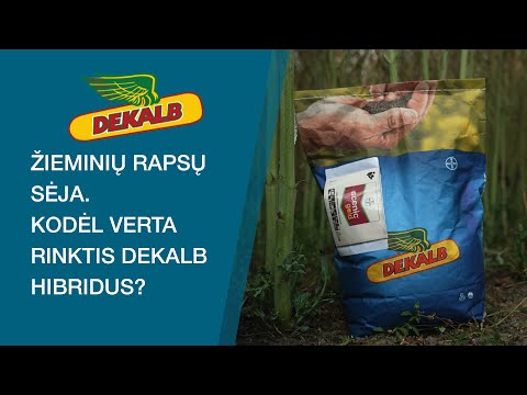 Pasirinkite savo DEKALB veislę