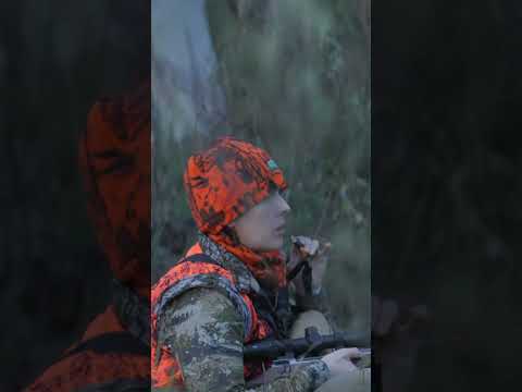 What was that sound?
