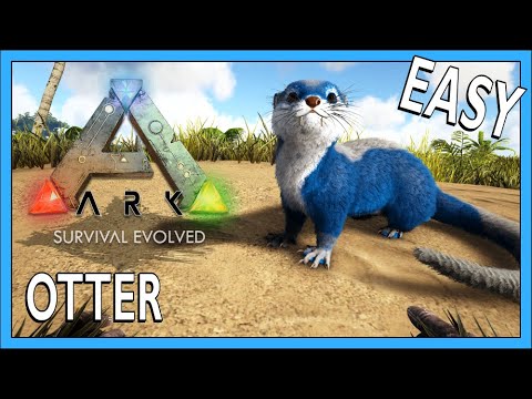 How To Tame An Otter In Ark Survival Evolved