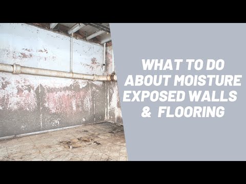 What To Do About Moisture Exposed Walls and...