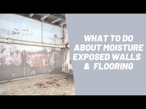 What To Do About Moisture Exposed Walls and Flooring