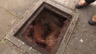 Blocked Drain - Unblocking Overgrown Compacted Roots in Manhole with Sewage Gush