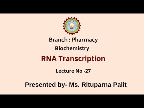 RNA Transcription