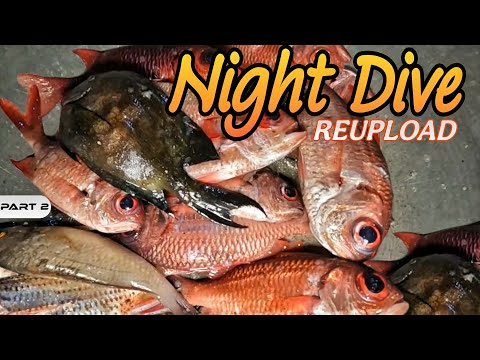 P2 - NIGHT DIVE (Originally Uploaded at Mrs. Harabas Channel) - EP2113