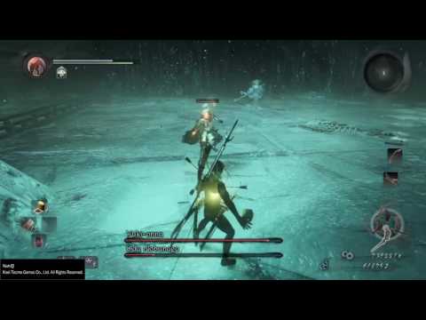 Nioh: A Meeting on the Other Shore