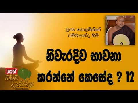 Darma Dakshina - 2019.01.24 - Kolabisse Dhammananda Himi