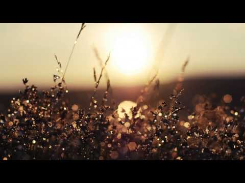Masayoshi Fujita - Swan and Morning Dews (Twigs & Yarn Remix)