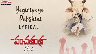 Yegiripoye Pakshini Song Lyrics - Panchatantra Kathalu