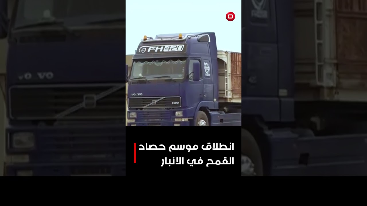 فيديو | انطلاق موسم حصاد القمح في الانبار#shorts