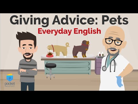 Giving Advice About Pets