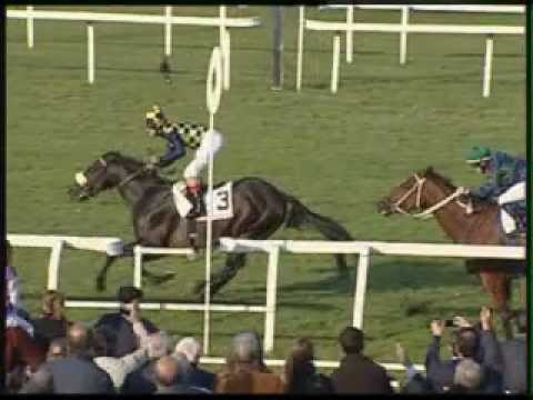 Premio Omenoni 2011 (GR3)