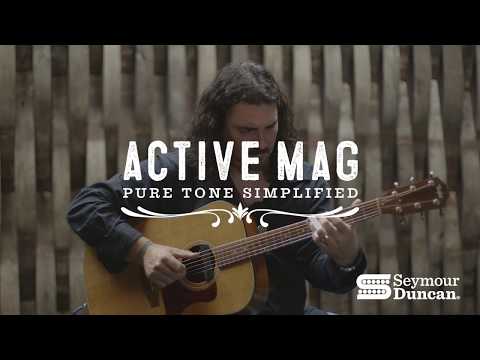Seymour Duncan Active Mag Acoustic Guitar Soundhole pickup image 4