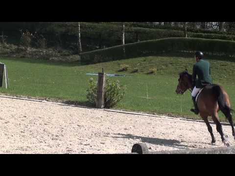 Andre Romanelli x Rimsky des Dames