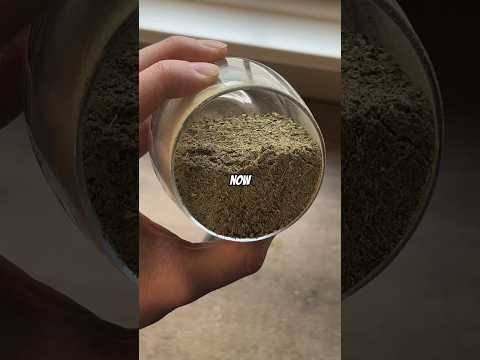 How Does Yerba Mate Work?🧉