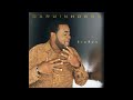 Darwin Hobbs - The Light
