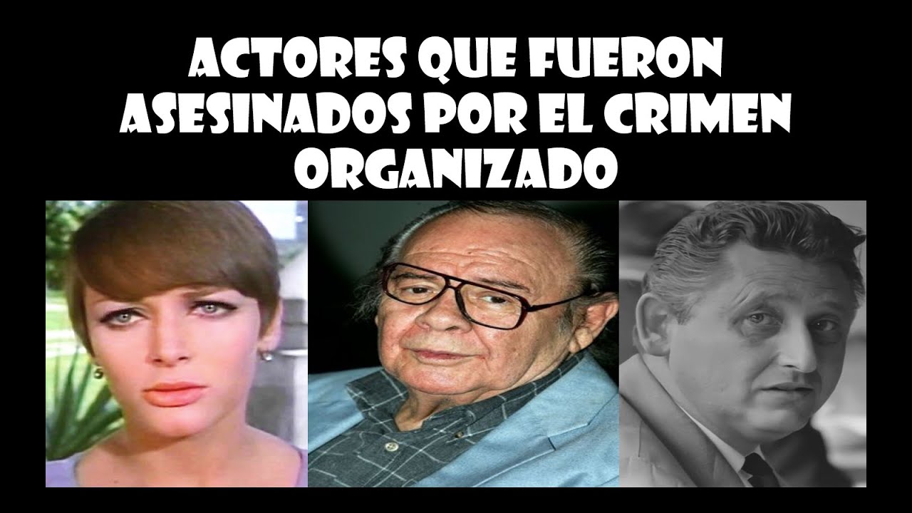 YouTube Thumbnail Downloader FULL HQ IMAGE