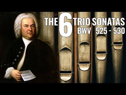 🎵 JS Bach - The Complete Organ Trio Sonatas BWV 525-530