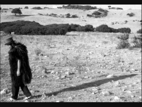 Il paradiso dei calzini - Vinicio Capossela - "da solo"