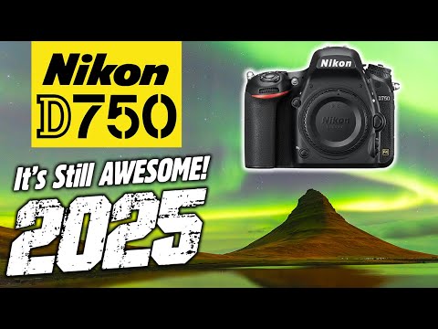 Nikon D750 | Auch 2025 noch FANTASTISCH!