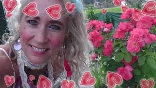 genom ett regnigt europa   -  paraplyrosen