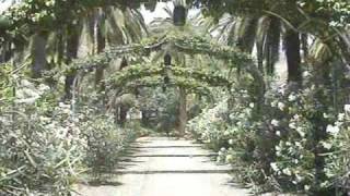 DOMINGOS EN EL CIELO