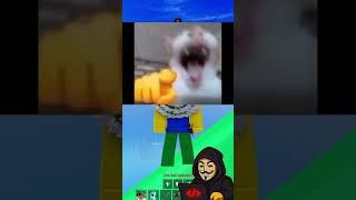 ฺBounty Hunting Script  #bloxfruits