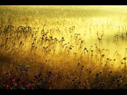 Anuvida & Nik Tyndall - Tao of Heaven (Reiki Healing Hands)