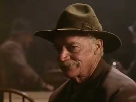 The Grey Fox   Bar Scene