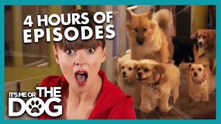 Thumbnail del capítulo